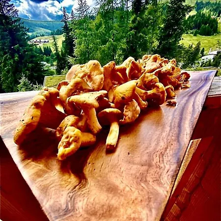 Almhuette Horská chata