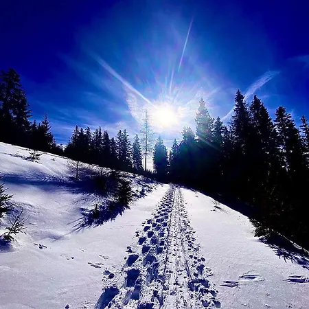 Horská chata Almhuette *