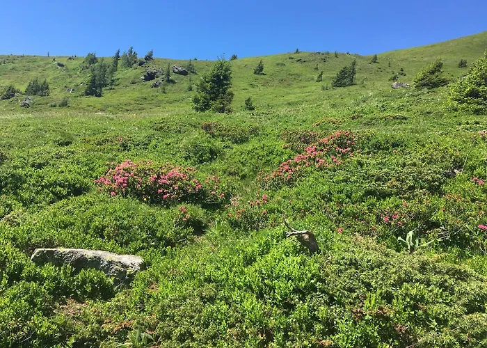 Almhuette شاليه